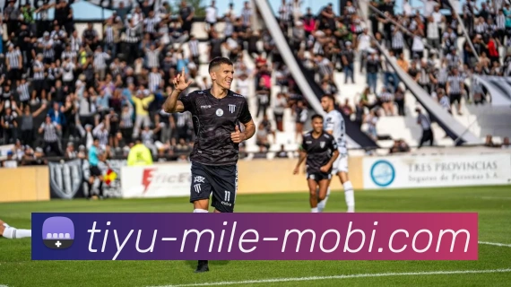 米乐体育平台生态图