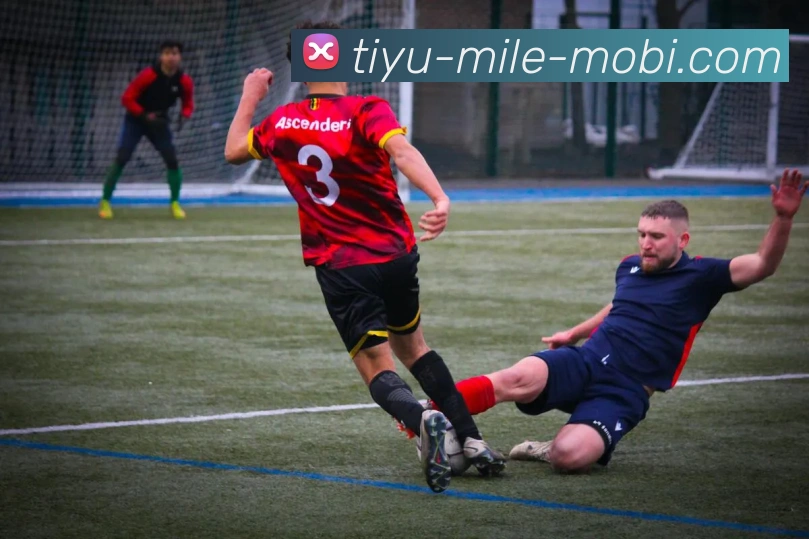 米乐体育APP 封面图